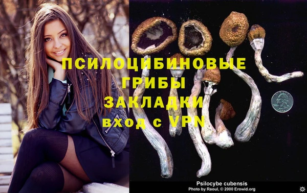 каннабис Гусиноозёрск