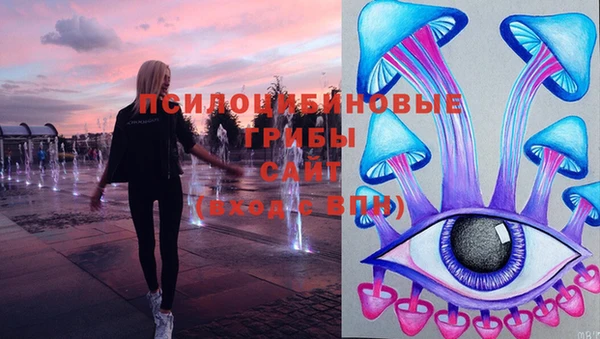 Альфа ПВП Гусь-Хрустальный