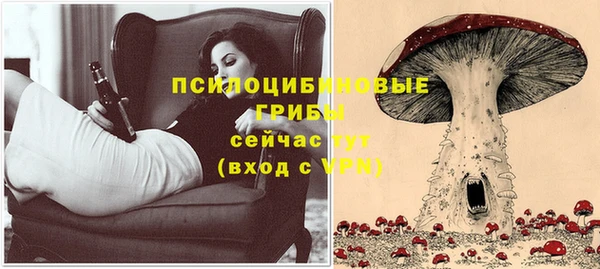 Альфа ПВП Гусь-Хрустальный
