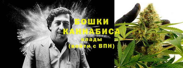 круглые Гусев