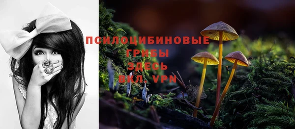 каннабис Гусиноозёрск
