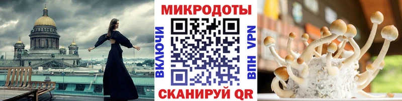 darknet клад  продажа наркотиков  Десногорск  Галлюциногенные грибы Cubensis 