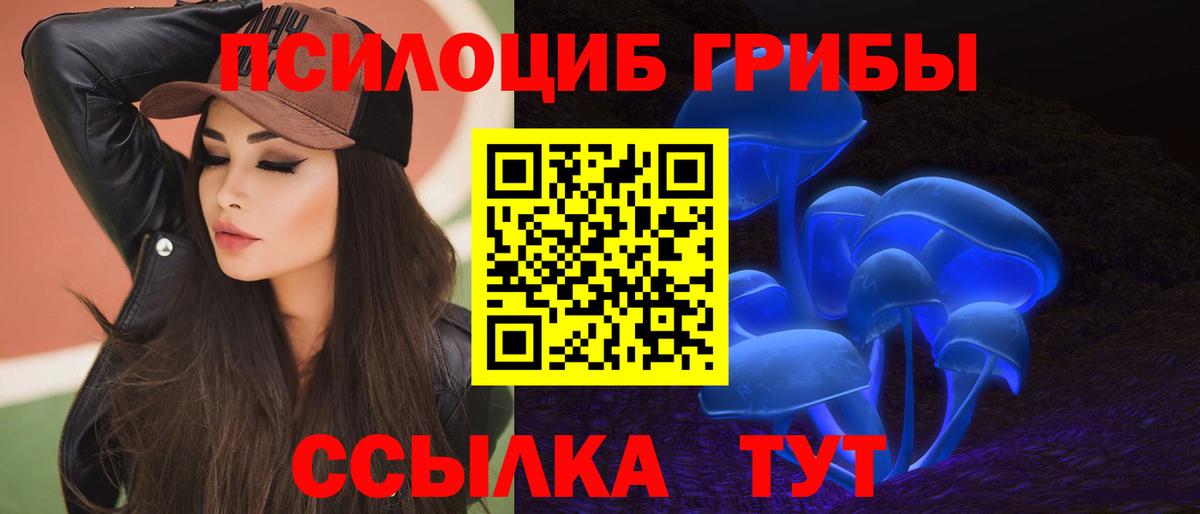 купить наркотики цена  Псилоцибиновые грибы ЛСД  Десногорск  Псилоцибиновые грибы прущие грибы 